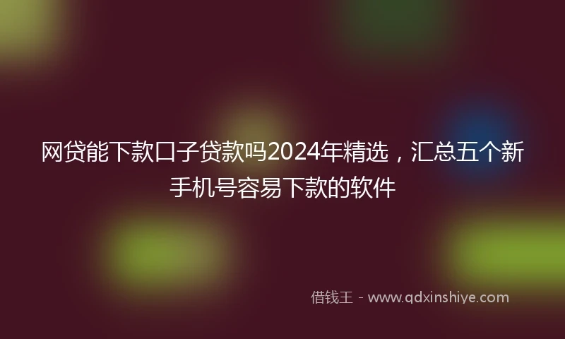 网贷能下款口子贷款吗2024年精选，汇总五个新手机号容易下款的软件