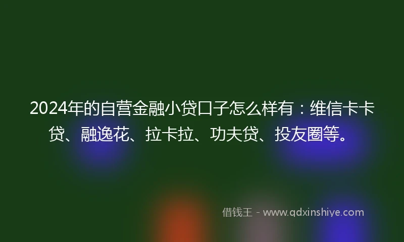 2024年的自营金融小贷口子怎么样有：维信卡卡贷、融逸花、拉卡拉、功夫贷、投友圈等。