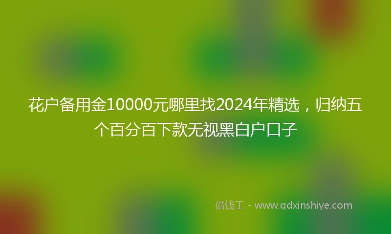花户备用金10000元哪里找2024年精选，归纳五个百分百下款无视黑白户口子