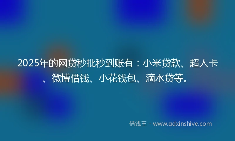 2025年的网贷秒批秒到账有：小米贷款、超人卡、微博借钱、小花钱包、滴水贷等。