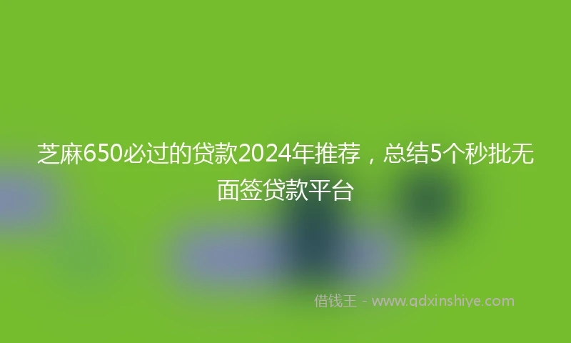 芝麻650必过的贷款2024年推荐，总结5个秒批无面签贷款平台
