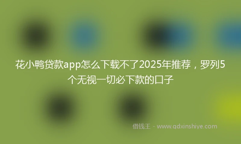花小鸭贷款app怎么下载不了2025年推荐，罗列5个无视一切必下款的口子