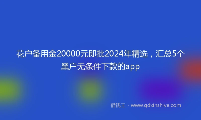 花户备用金20000元即批2024年精选，汇总5个黑户无条件下款的app