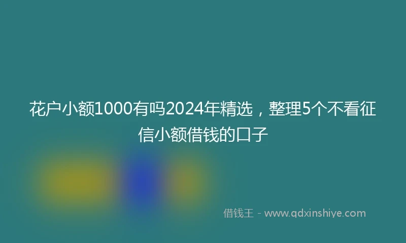 花户小额1000有吗2024年精选，整理5个不看征信小额借钱的口子
