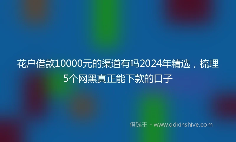 花户借款10000元的渠道有吗2024年精选，梳理5个网黑真正能下款的口子