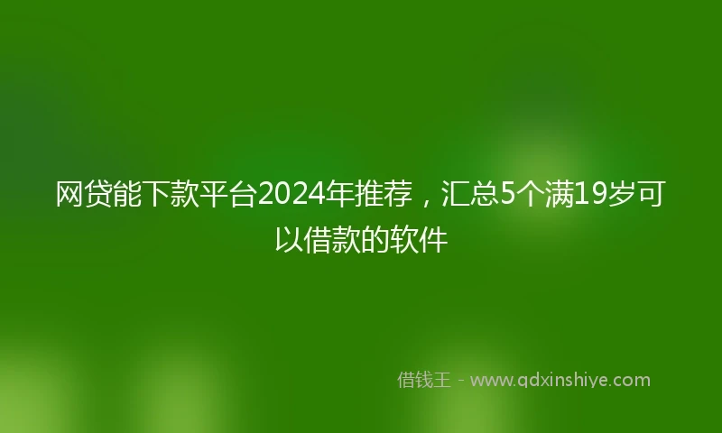 网贷能下款平台2024年推荐，汇总5个满19岁可以借款的软件