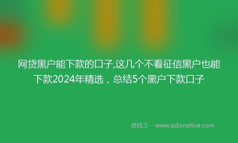 网贷黑户能下款的口子,这几个不看征信黑户也能下款2024年精选，总结5个黑户下款口子