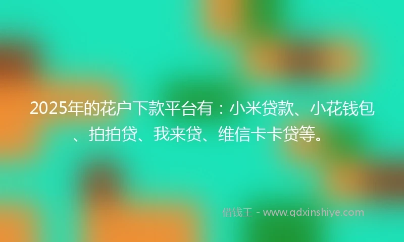 2025年的花户下款平台有：小米贷款、小花钱包、拍拍贷、我来贷、维信卡卡贷等。