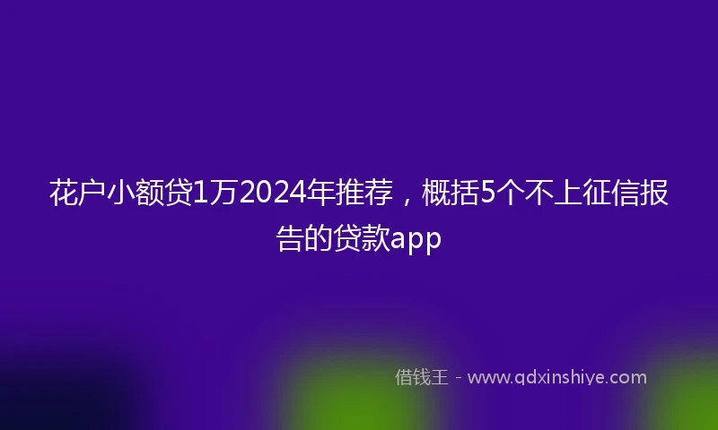 花户小额贷1万2024年推荐，概括5个不上征信报告的贷款app