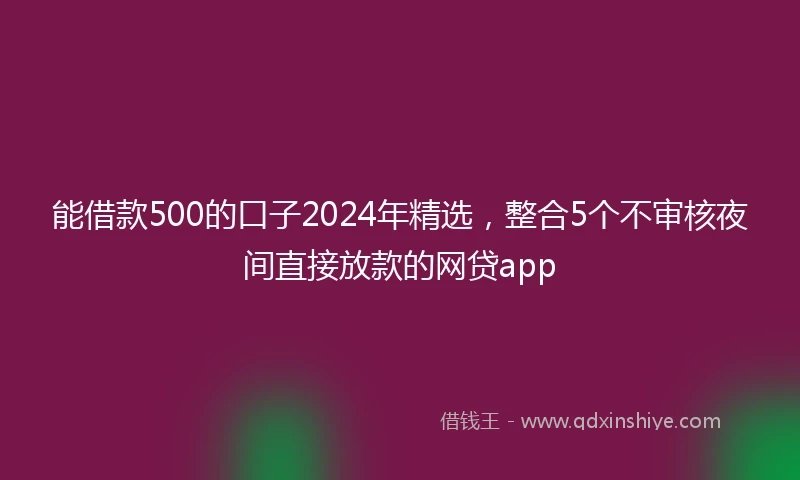 能借款500的口子2024年精选，整合5个不审核夜间直接放款的网贷app