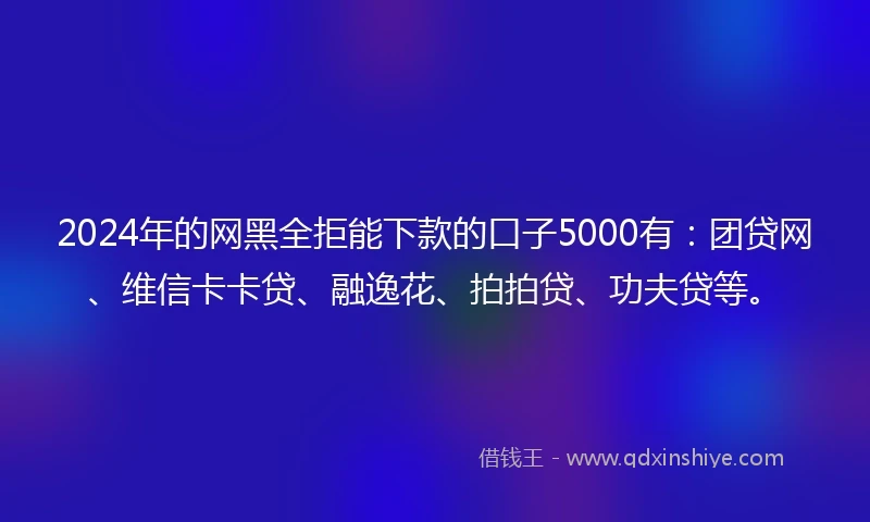 2024年的网黑全拒能下款的口子5000有：团贷网、维信卡卡贷、融逸花、拍拍贷、功夫贷等。