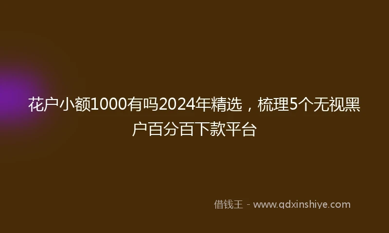 花户小额1000有吗2024年精选，梳理5个无视黑户百分百下款平台