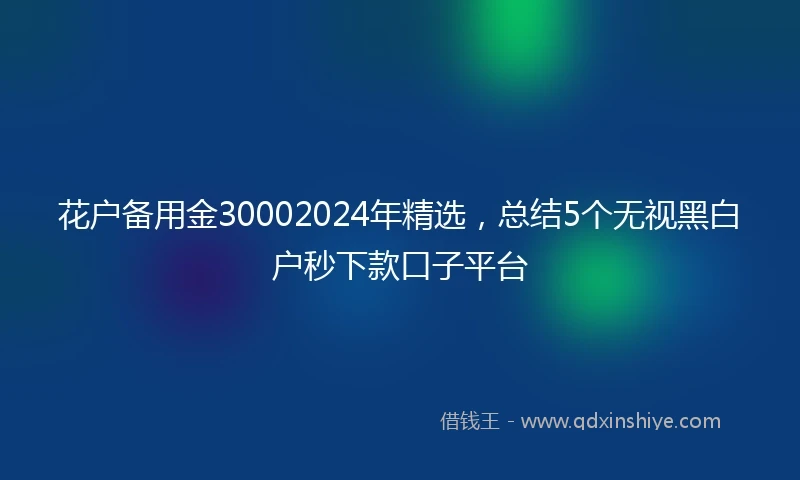花户备用金30002024年精选，总结5个无视黑白户秒下款口子平台