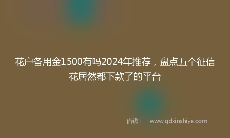 花户备用金1500有吗2024年推荐，盘点五个征信花居然都下款了的平台