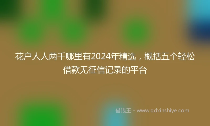 花户人人两千哪里有2024年精选，概括五个轻松借款无征信记录的平台