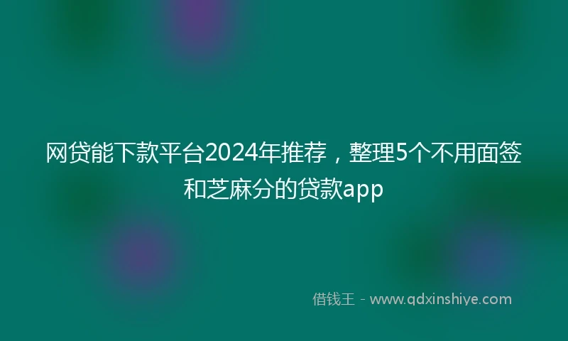 网贷能下款平台2024年推荐，整理5个不用面签和芝麻分的贷款app