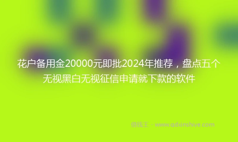 花户备用金20000元即批2024年推荐，盘点五个无视黑白无视征信申请就下款的软件