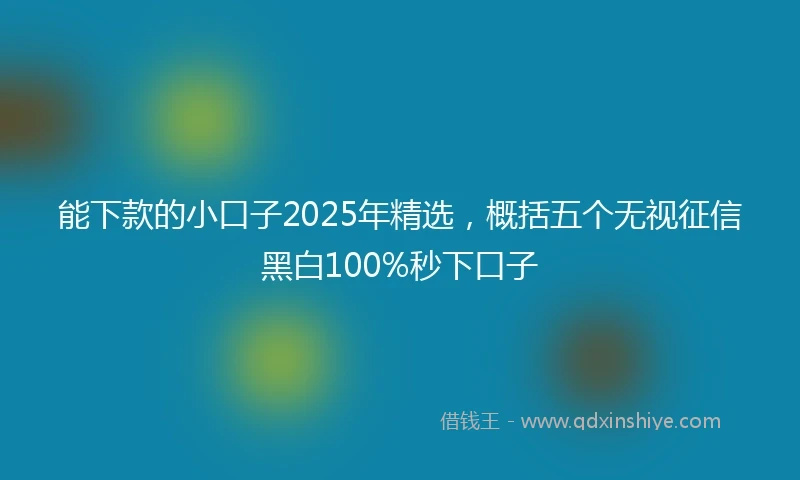 能下款的小口子2025年精选，概括五个无视征信黑白100%秒下口子