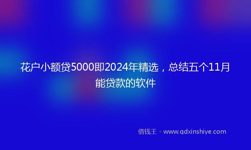花户小额贷5000即2024年精选，总结五个11月能贷款的软件