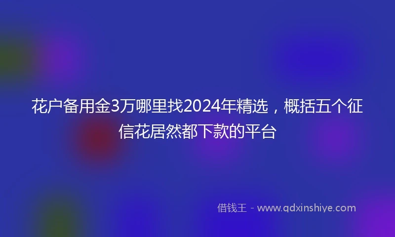 花户备用金3万哪里找2024年精选，概括五个征信花居然都下款的平台