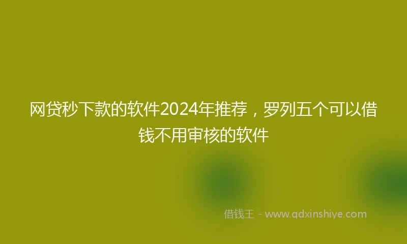 网贷秒下款的软件2024年推荐，罗列五个可以借钱不用审核的软件