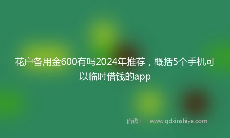 花户备用金600有吗2024年推荐，概括5个手机可以临时借钱的app