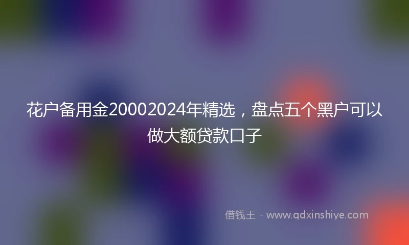 花户备用金20002024年精选，盘点五个黑户可以做大额贷款口子