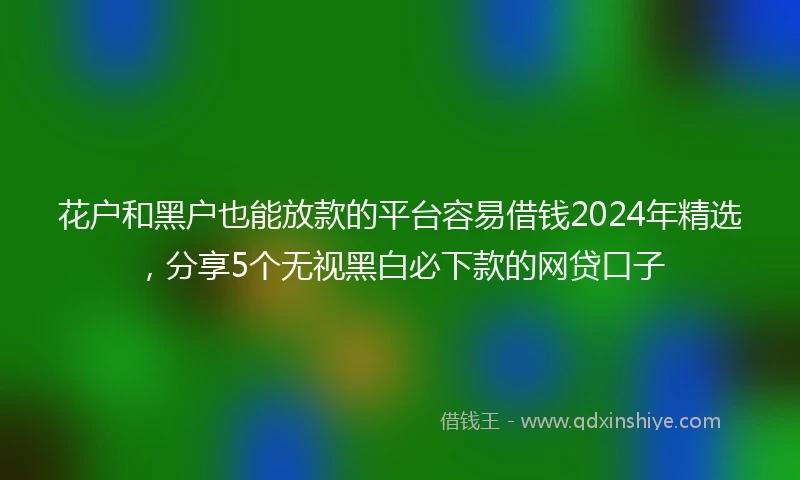 花户和黑户也能放款的平台容易借钱2024年精选，分享5个无视黑白必下款的网贷口子