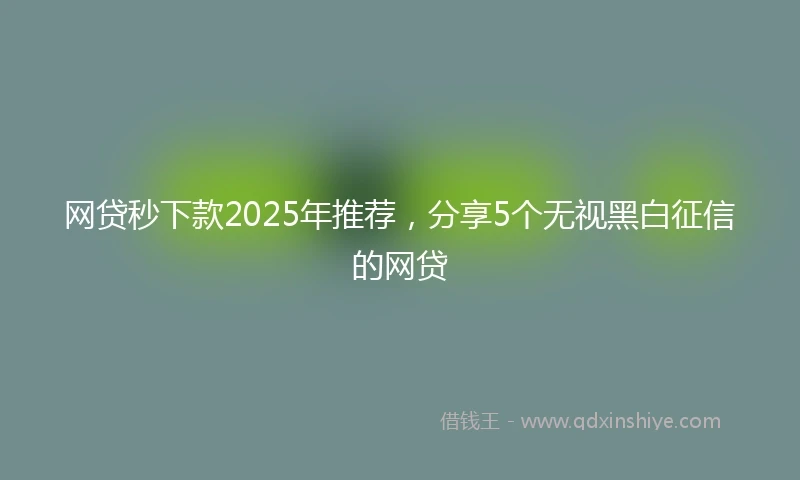 网贷秒下款2025年推荐，分享5个无视黑白征信的网贷