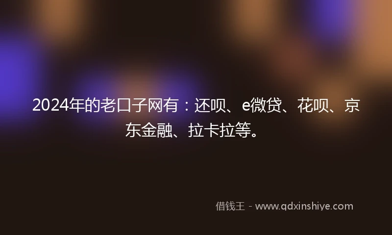 2024年的老口子网有：还呗、e微贷、花呗、京东金融、拉卡拉等。
