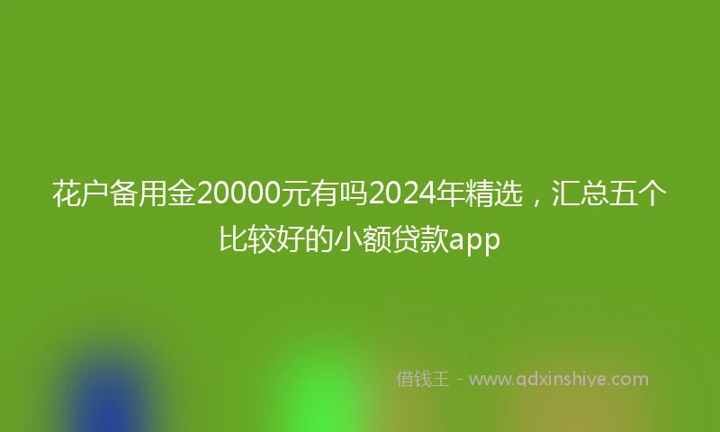 花户备用金20000元有吗2024年精选，汇总五个比较好的小额贷款app