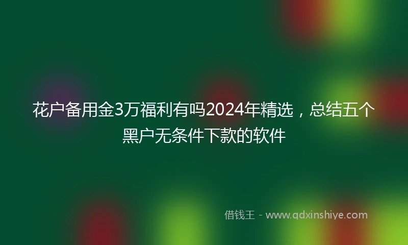 花户备用金3万福利有吗2024年精选，总结五个黑户无条件下款的软件