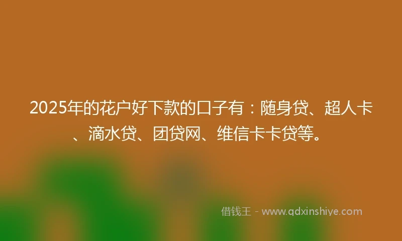 2025年的花户好下款的口子有：随身贷、超人卡、滴水贷、团贷网、维信卡卡贷等。