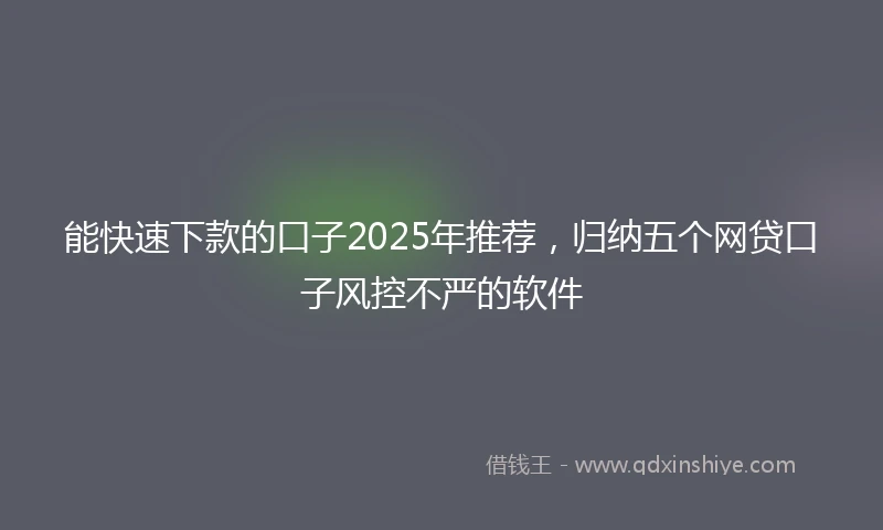 能快速下款的口子2025年推荐，归纳五个网贷口子风控不严的软件