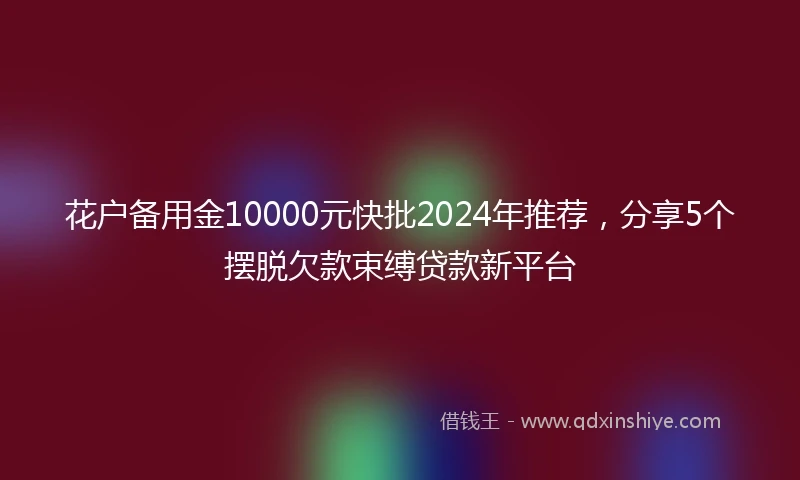 花户备用金10000元快批2024年推荐，分享5个摆脱欠款束缚贷款新平台