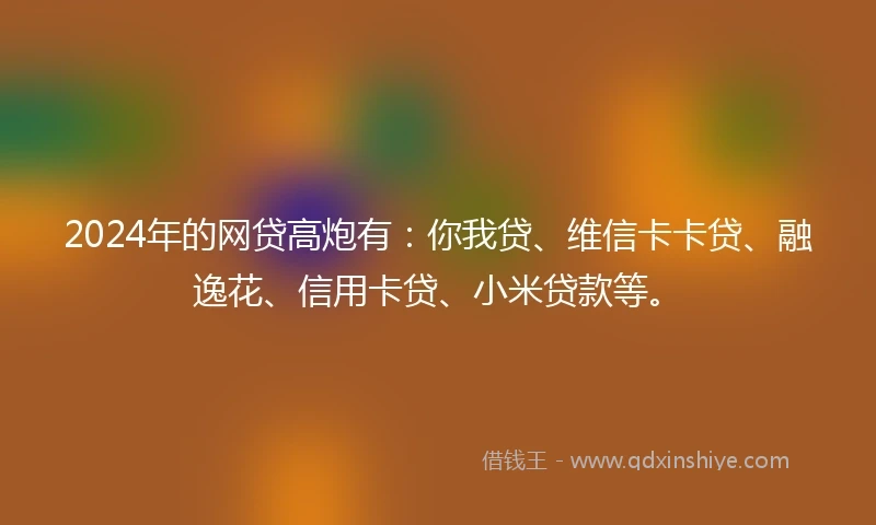 2024年的网贷高炮有：你我贷、维信卡卡贷、融逸花、信用卡贷、小米贷款等。