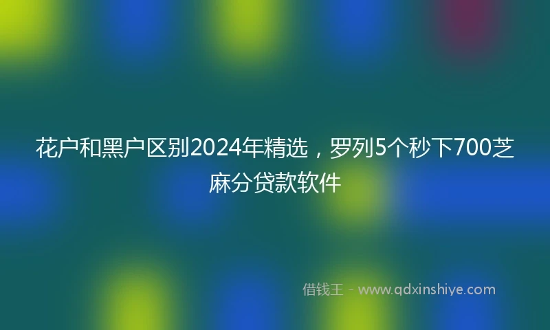 花户和黑户区别2024年精选，罗列5个秒下700芝麻分贷款软件