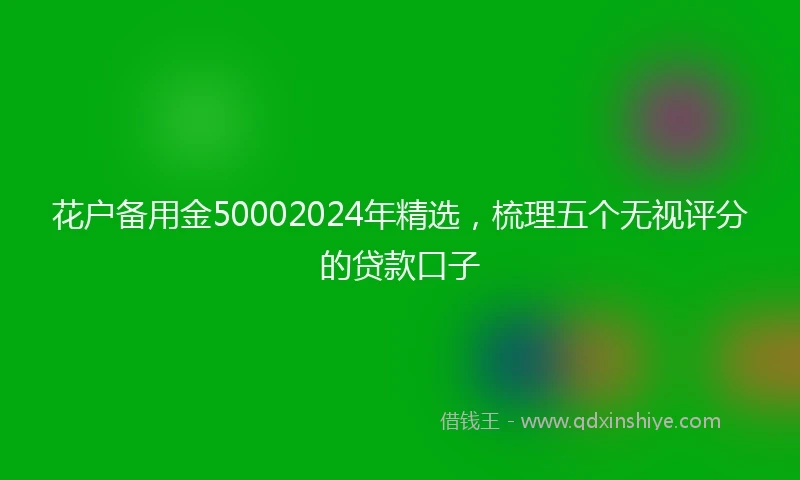 花户备用金50002024年精选，梳理五个无视评分的贷款口子