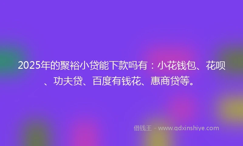 2025年的聚裕小贷能下款吗有：小花钱包、花呗、功夫贷、百度有钱花、惠商贷等。