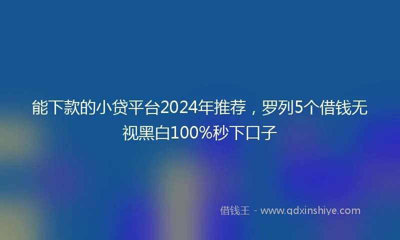 能下款的小贷平台2024年推荐，罗列5个借钱无视黑白100%秒下口子