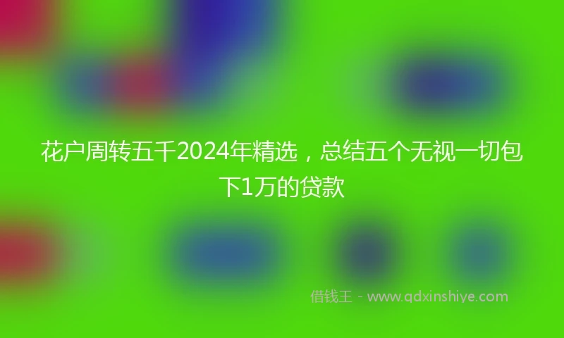 花户周转五千2024年精选，总结五个无视一切包下1万的贷款