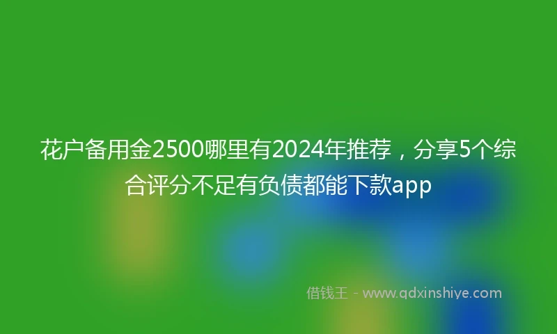 花户备用金2500哪里有2024年推荐，分享5个综合评分不足有负债都能下款app