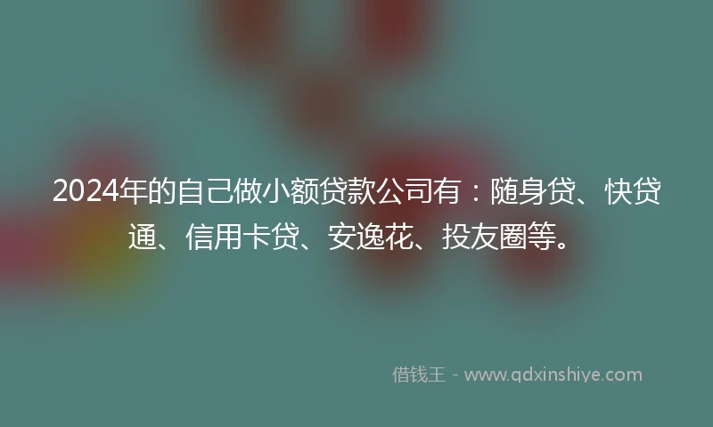 2024年的自己做小额贷款公司有：随身贷、快贷通、信用卡贷、安逸花、投友圈等。