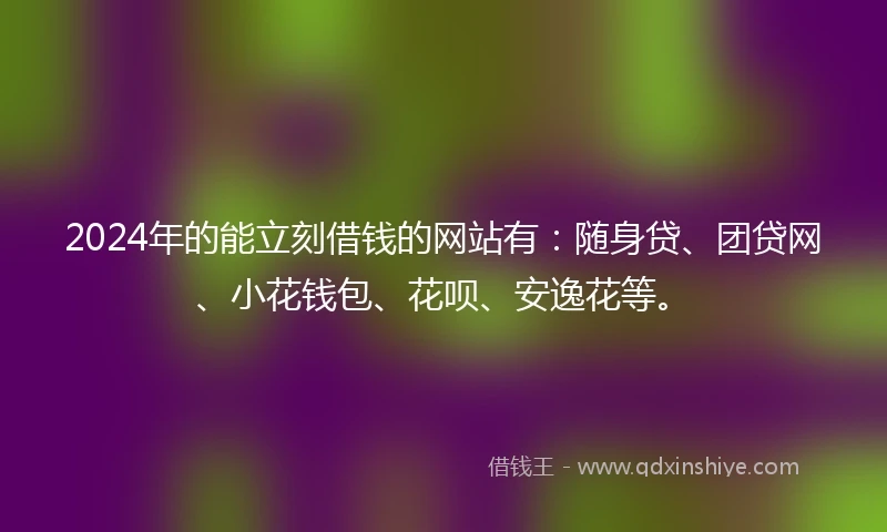 2024年的能立刻借钱的网站有：随身贷、团贷网、小花钱包、花呗、安逸花等。