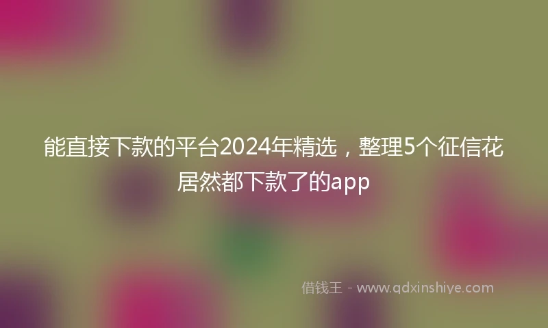 能直接下款的平台2024年精选，整理5个征信花居然都下款了的app
