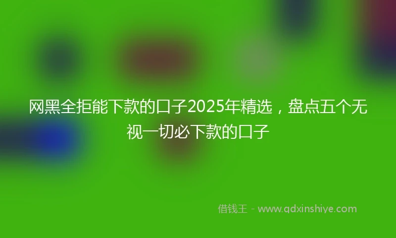 网黑全拒能下款的口子2025年精选，盘点五个无视一切必下款的口子