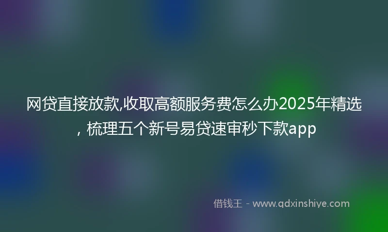 网贷直接放款,收取高额服务费怎么办2025年精选，梳理五个新号易贷速审秒下款app