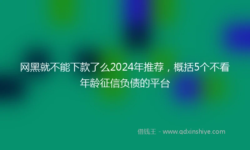 网黑就不能下款了么2024年推荐，概括5个不看年龄征信负债的平台