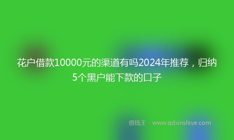 花户借款10000元的渠道有吗2024年推荐，归纳5个黑户能下款的口子