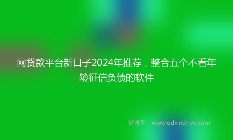 网贷款平台新口子2024年推荐，整合五个不看年龄征信负债的软件